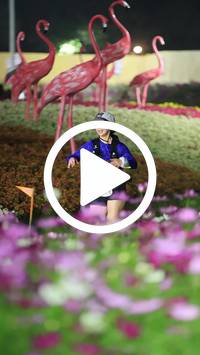 BIB:  <button type="button" onclick="openModal(27590953)" class="btn btn-primary btn-sm float-right" data-toggle="modal" data-target=".modal-high-quality">
                <i class="fa fa-download"></i> Download
                </button>